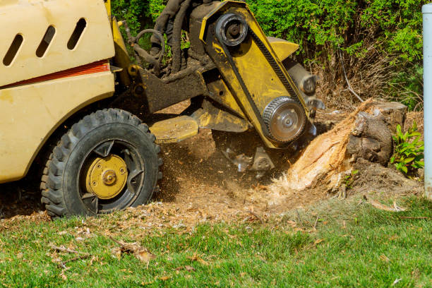 Best Residential Tree Removal  in Eagle River, WI